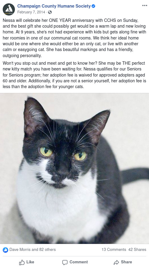 Champaign County Humane Society Facebook post about Numbers (called Nessa then).